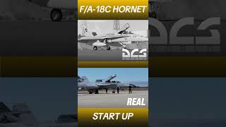 Hornet start up DCS vs real life [upl. by Ellesor]