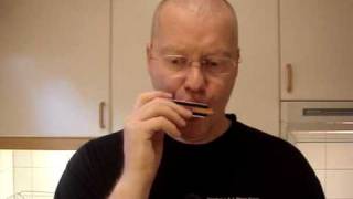 Harmonica lessons St James Infirmary Blues with tabs [upl. by Yakcm439]