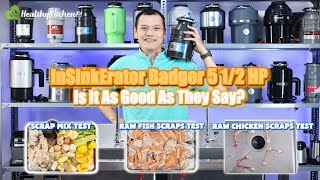 InSinkErator Badger 5 12 HP Review  Shouldit Garbage Disposal Series [upl. by Loree578]