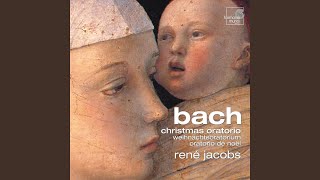 Christmas Oratorio BWV 248 Part II 19 Arie quotSchlafe mein Liebster genieße der Ruhquot [upl. by Acirehs]