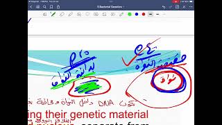 Bacterial genetics [upl. by Budde652]