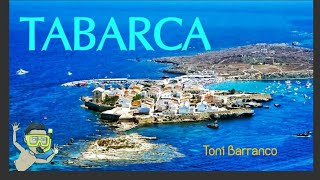 🏝ISLA de TABARCA 🇪🇸  ALICANTE  🏖⛵⚓ [upl. by Amerd]