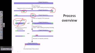 Nested PCR [upl. by Slohcin783]