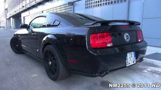 Ford Mustang GT Lovely V8 Sound  Start and Revs [upl. by Greenstein]