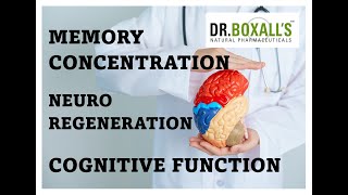 Dr Boxalls Increase Cognitive Function  Memory  Energy  Regenerate Neuro Plasticity [upl. by Naitsabas306]