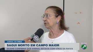 Animais com vírus da raiva infectologista explica medidas para evitar doença [upl. by Sussman]