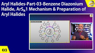 Aryl HalidesPart 03Benzene Diazonium Halide ArSN1 Mechanism amp Preparation of Aryl Halides [upl. by Previdi]