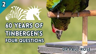 BIAZA Brings YouDr Paul Rose  The Continued Relevance of Tinbergens Four Questions to Zoos [upl. by Sokim349]