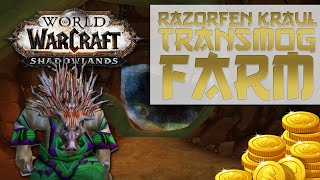 WoW Shadowlands Transmog Farm  Razorfen Kraul  Dungeon Transmog Farm [upl. by Ellehc42]