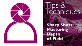 Photography Tips and Techniques Sharp Shots  Mastering Depth of Field [upl. by Alicsirp]