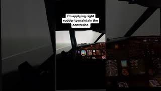 How to safely takeoff after an engine failure ✈️ [upl. by Retsevel]