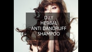 DIY  Herbal Anti Dandruff Shampoo  Sulfate amp Paraben Free [upl. by Ronoh689]