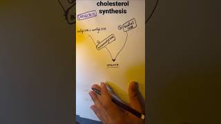 BIOCHEMISTRYCHOLESTEROL SYNTHESIS MNEMONICS [upl. by Behnken]