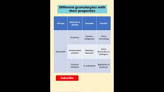 Immunological essentials granulocytes with their functions shorts shortsvideo lifescience [upl. by Nylodnarb]