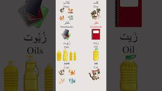 Broken Plural in the Arabic Language4 [upl. by Zaneski]