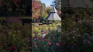 An Autumn Day At Heather Farm Park Walnut Creek CA [upl. by Halyahs]