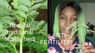 Scientific studies shows actual ANTI FERTILITY effects of this popular traditional fertility herb [upl. by Ribak587]