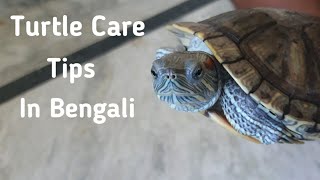 How To Care Red Eared Slider Turtle in Bengali [upl. by Rist]