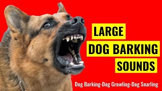 Dog Barking Sounds See Your Dogs Reaction To Dogs Barking Dog Growling Dog Snarling [upl. by Sutit]