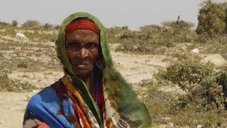 Mein Somalia – Zwischen Krieg und Armut WebDoku [upl. by Llevron]