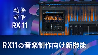 RX 11の音楽制作向け新機能 [upl. by Llehcim]