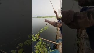 বিলের টানে টানে পুটি মাছ ধরা দেখুন villegefishing fishingjagat পুটিমাছ villagefishinglife [upl. by Boleslaw]