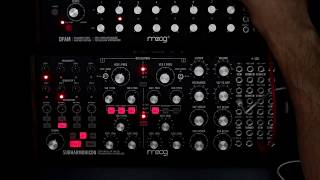 Mapaii  Rise Up Moog Subharmonicon  Dfam [upl. by Kcirrag]