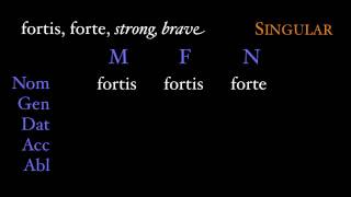 Third Declension Adjectives [upl. by Nester]