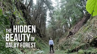 The HIDDEN BEAUTY of DALBY FOREST  Robs Walks [upl. by Hceicjow]