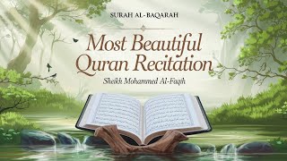 Surah AlBaqarah  سورة البقرة  Beautiful Quran Recitation by Sheikh Mohammed AlFaqih [upl. by Annadal]