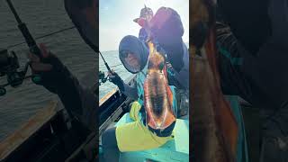 Fishing squid at Rayong Thailand daiwa fishing emeraldas [upl. by Cecilio]