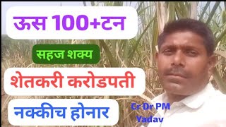 VSI8005 sugarcane maturity plot Cr Dr PM Yadav Patel Rampuri BK mh India 🇮🇳 [upl. by Ahsaeit]