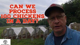 Processing Chickens Like Joel Salatin  Polyface Farm Process [upl. by Sellma]