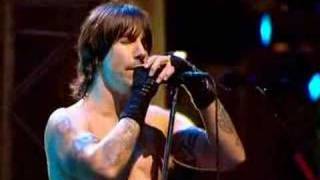 Red Hot Chili Peppers Under The Bridge LIVE [upl. by Alfons713]