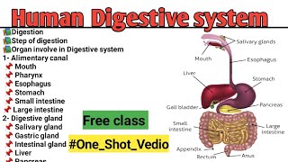 Human Digestive system  Digestion  Digestive system  Free class  One shot vedio [upl. by Notyard390]