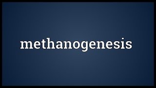 Methanogenesis Meaning [upl. by Nuy]