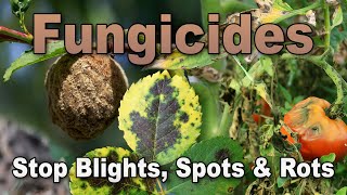 Essential Fungicides for Vegetables Fruits and Ornamentals [upl. by Ylle190]