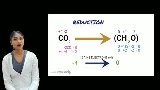 PhotosynthesisRedoxreaction [upl. by Eustace]