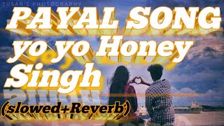 PAYAL SONG lofi slowedReverb yo yo Honey Singh new song 2024 [upl. by Losiram]