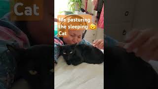 Pasturing the sleeping cat trendingpost ytshorts [upl. by Assed182]