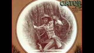 Jerry Reed  The Ballad of Gator McKlusky [upl. by Gratt]