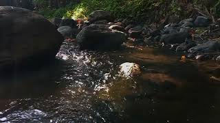 river stream sound effect how sound effects water natural river sound [upl. by Curtis230]