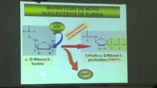 UNIDAD 5METABOLISMO DE LOS NUCLEOTIDOS parte 1 [upl. by Cullen]