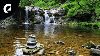 10 Hours of Relaxing River Sounds  Flowing Water and Forest Creek Ambience 🏞️ [upl. by Maddalena]