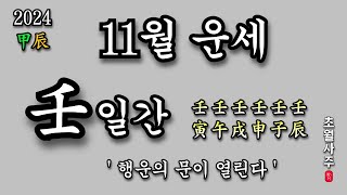 11월운세 壬 일간 행운의 문이 열린다 [upl. by Chon]