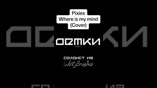 Pixies  Where is My Mind cover [upl. by Ojyllek]