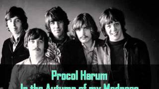 Procol Harum  In The Autumn Of My Madness [upl. by Mattias334]