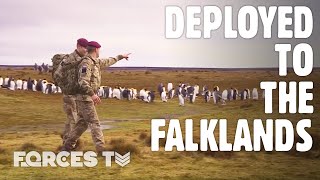 Guardians Of The South Atlantic UK Forces In The Falklands  Forces TV [upl. by Milas]