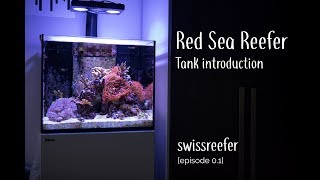 Red Sea Reefer 170  1 year tank introduction Swissreefer  Episode 01 [upl. by Dorthea]