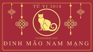 Tử vi 2018 tuổi Đinh Mão  1987 nam mạng [upl. by Ayoral]